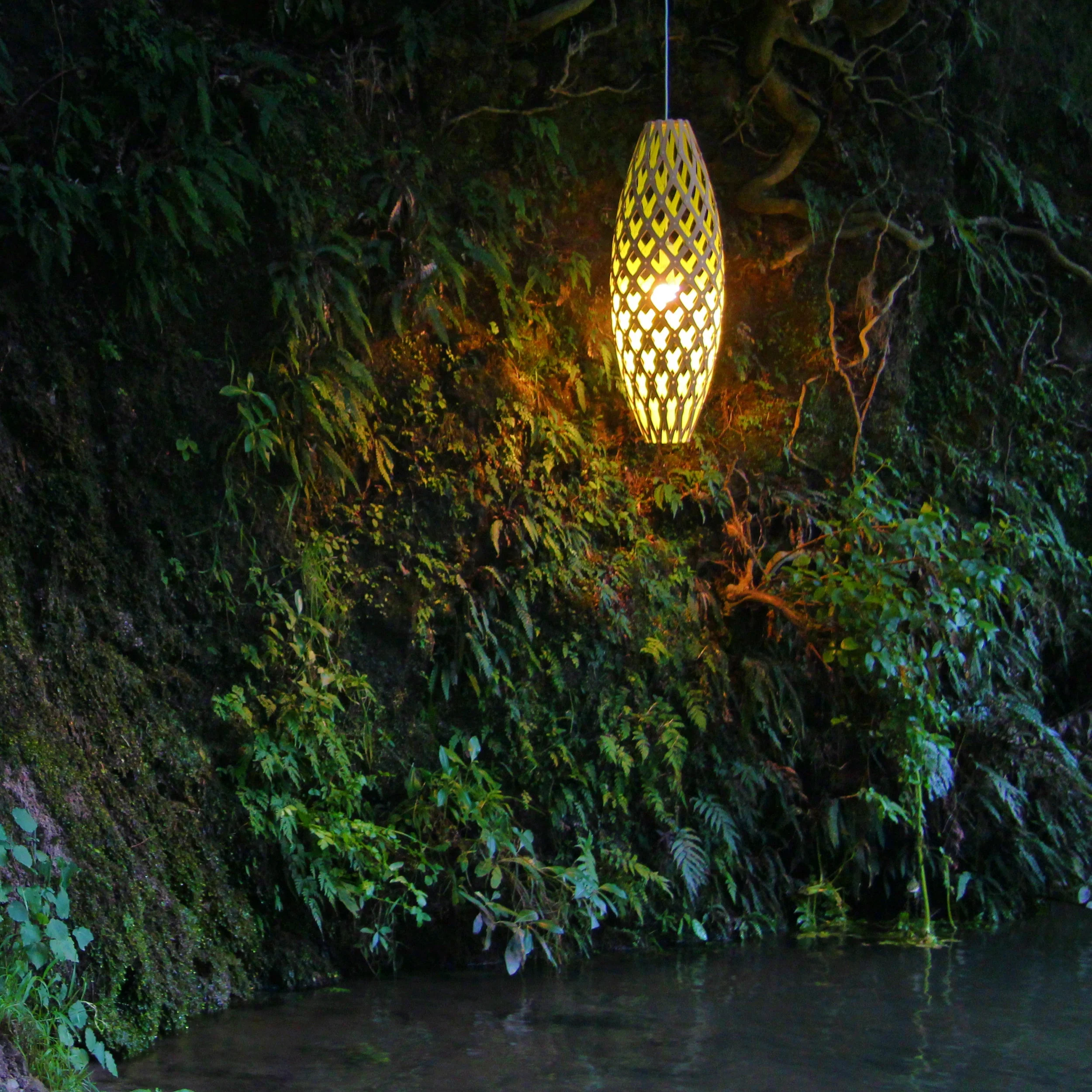 Thumbnail 23